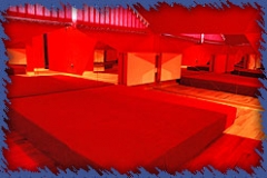 pok_luster_0403